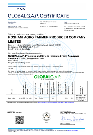 GMP Certificate