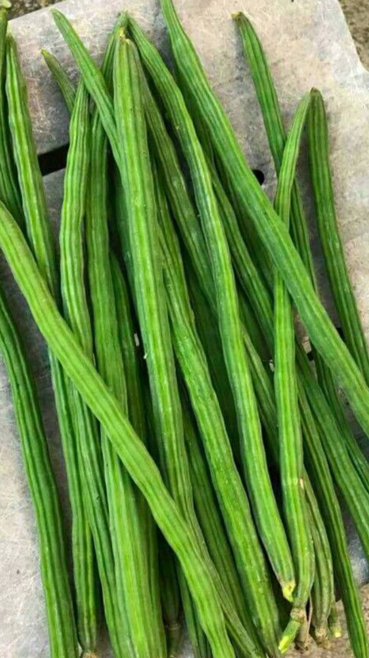 Drum Stick