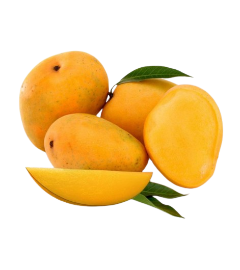 alefox